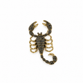 Black Scorpion