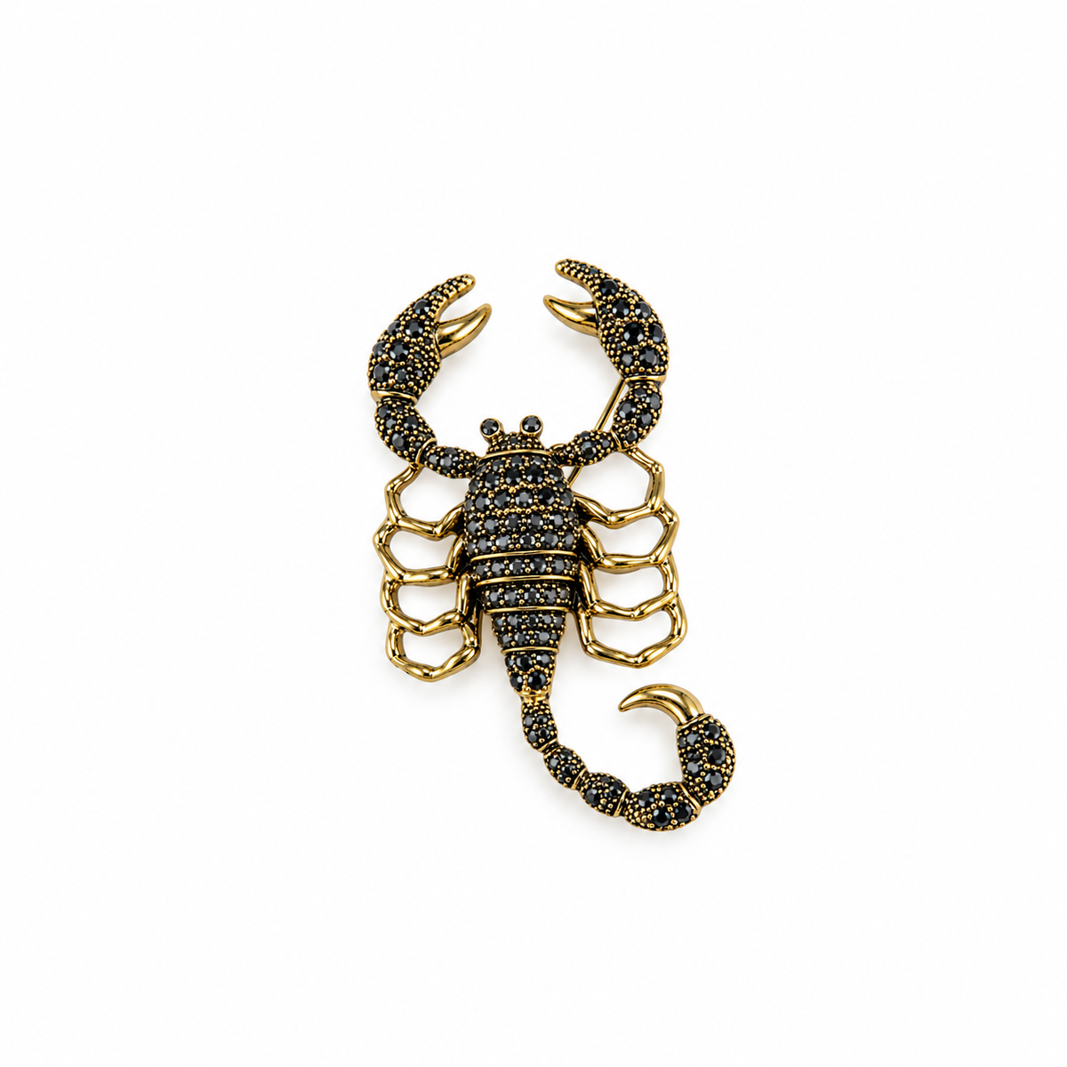 Black Scorpion