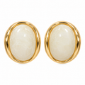 Ivory Gold Oval Earrings ✨