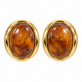 Amber Gold Oval Earrings ✨🧡