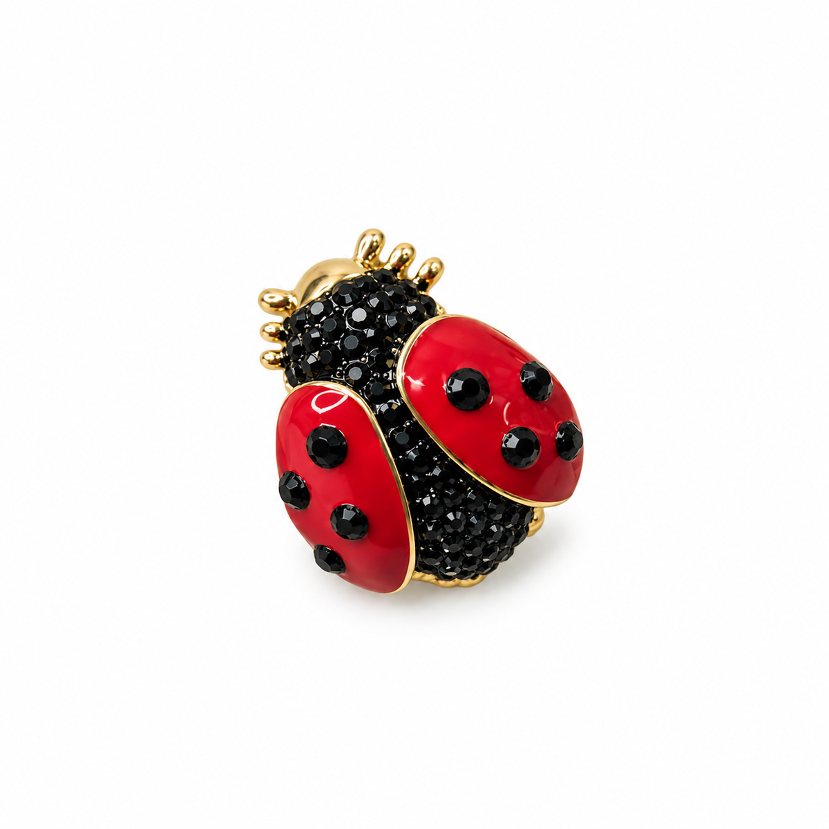Ladybug Brooch 🐞✨