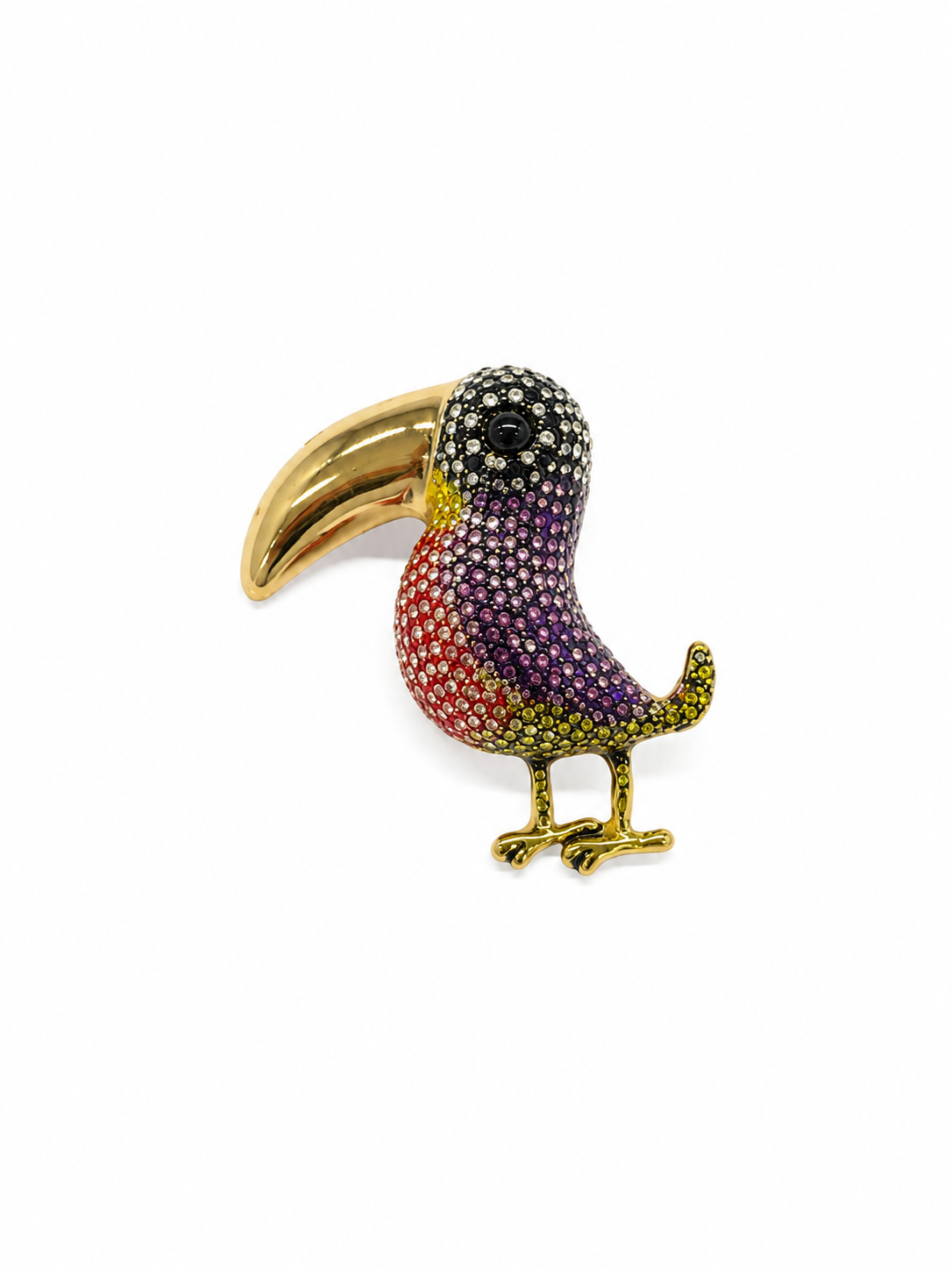 Colorful Toucan