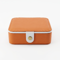 Orange Elegance